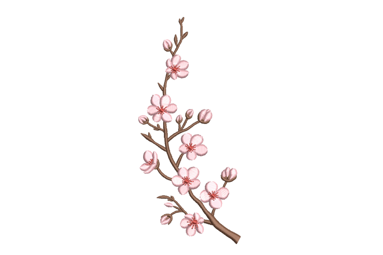 Cherry Blossom Branch