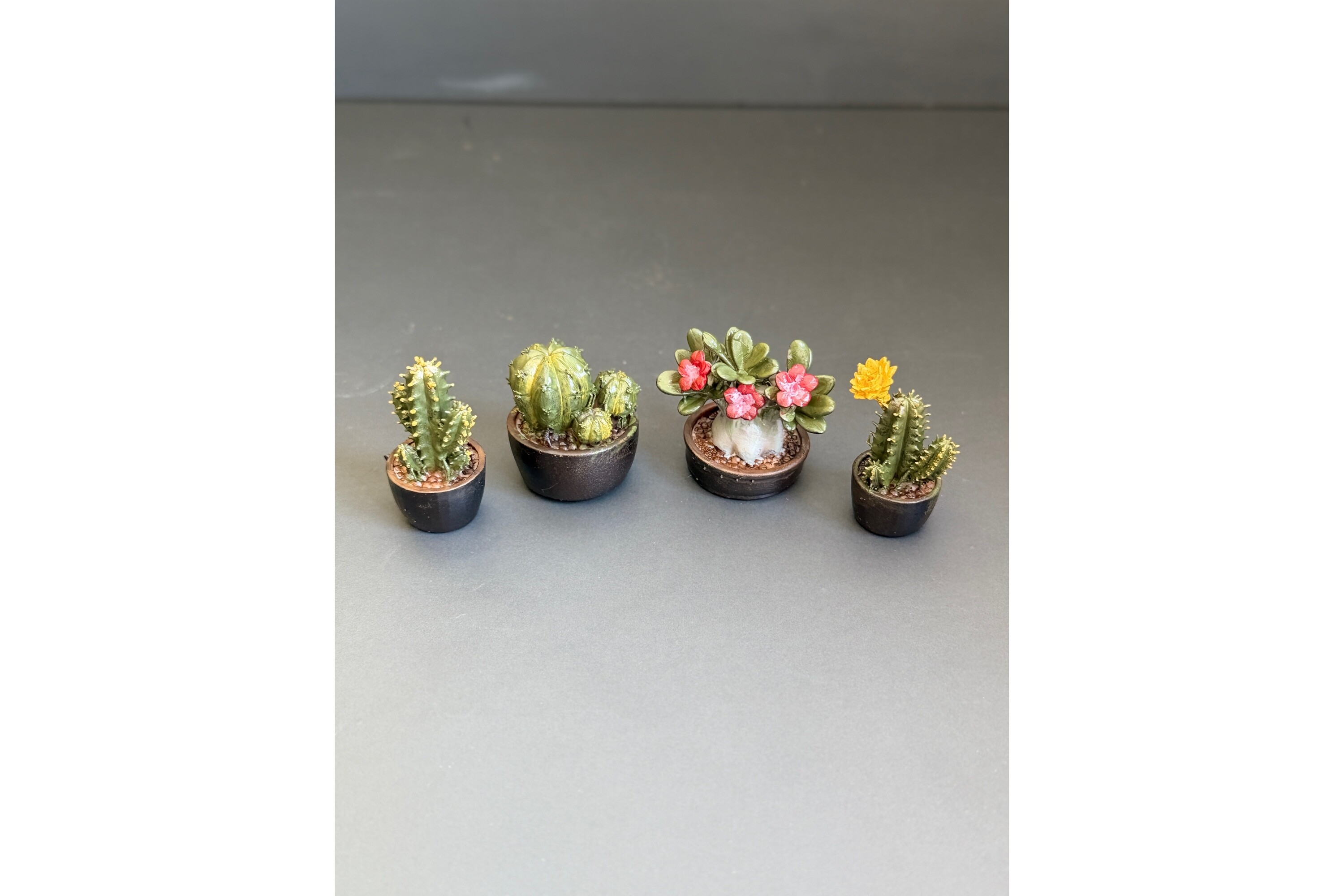 3D Printable Plants for Dollhouse Miniatures | Cactus, Adenium STL Files - Image 9