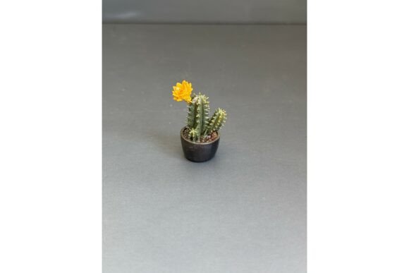 3D Printable Plants for Dollhouse Miniatures | Cactus, Adenium STL Files - Image 3