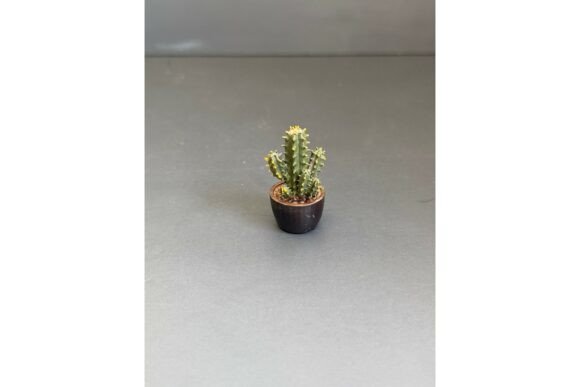 3D Printable Plants for Dollhouse Miniatures | Cactus, Adenium STL Files - Image 4