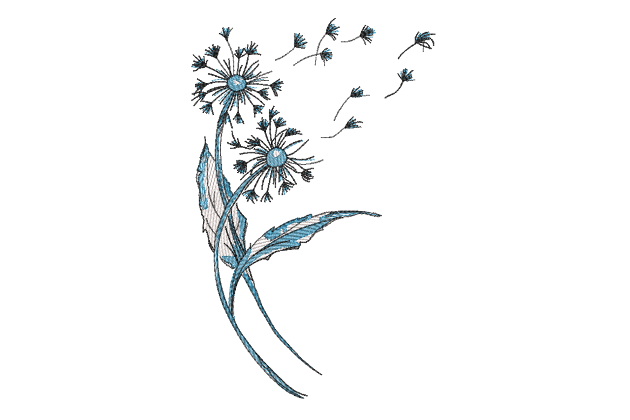 Blue Dandelion Floral Sketch Botanical