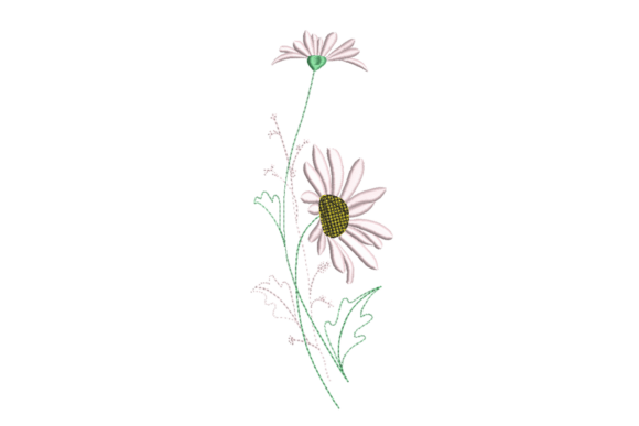 Minimal Daisy Wildflower Stem