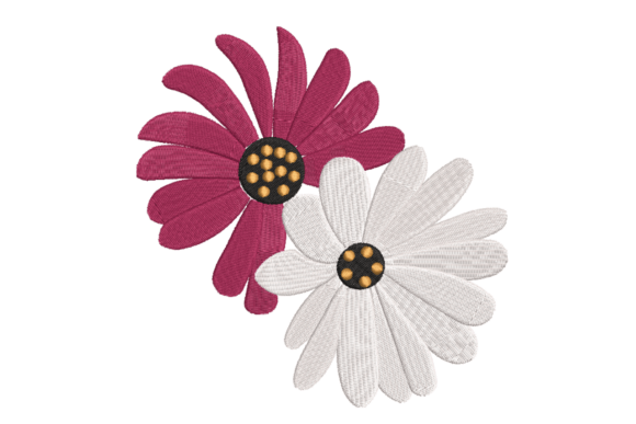Two Daisy Flowers Floral