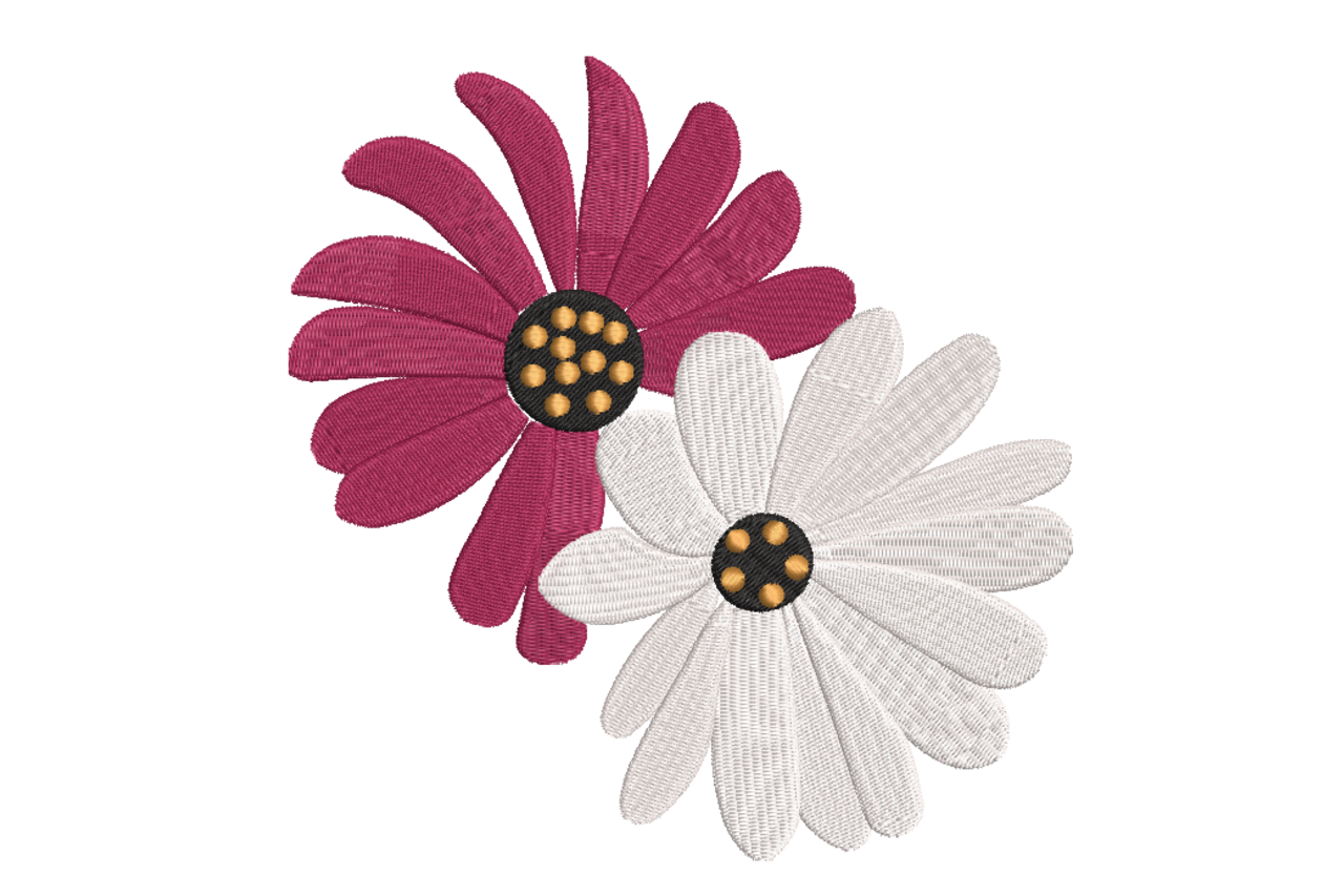 Two Daisy Flowers Floral