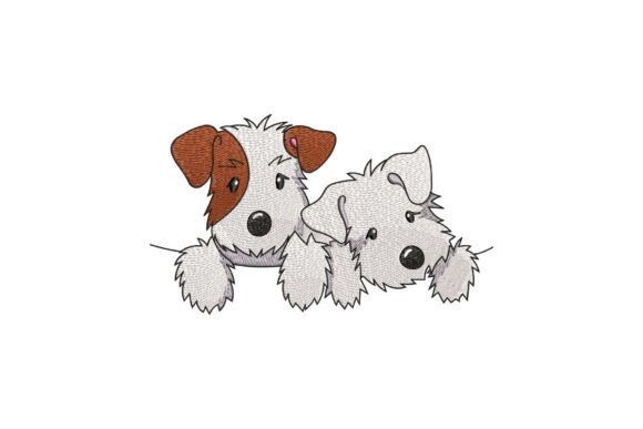 Jack Russell Terrier Dog