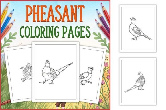 Pheasant Coloring Pages for Kids
