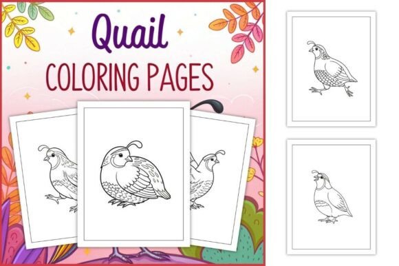Quail Coloring Pages for Kids