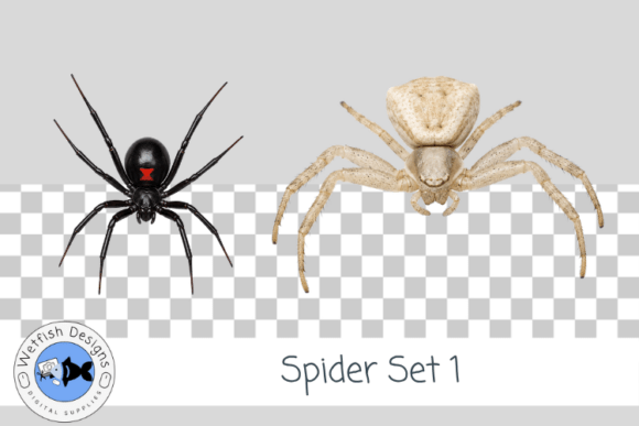 Halloween Spider PNG Set 1