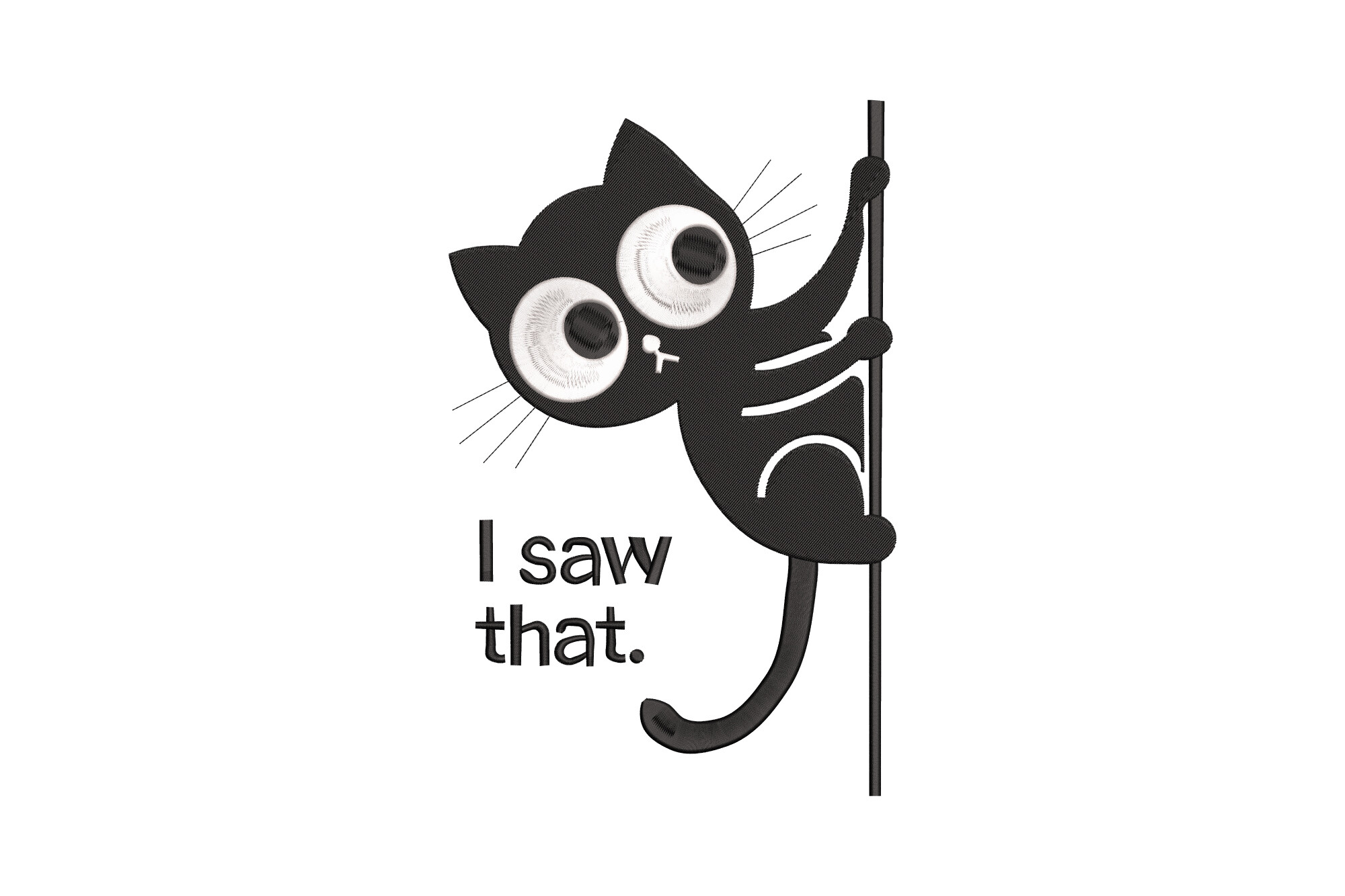 I Saw That Funny Cat