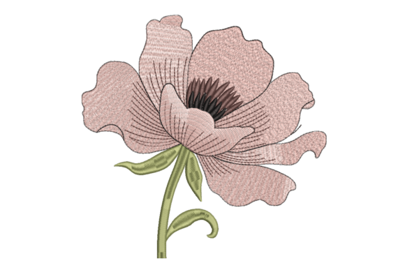 Elegant Large Blossom Flower