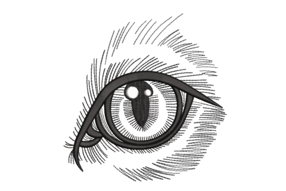 Eye Sketch