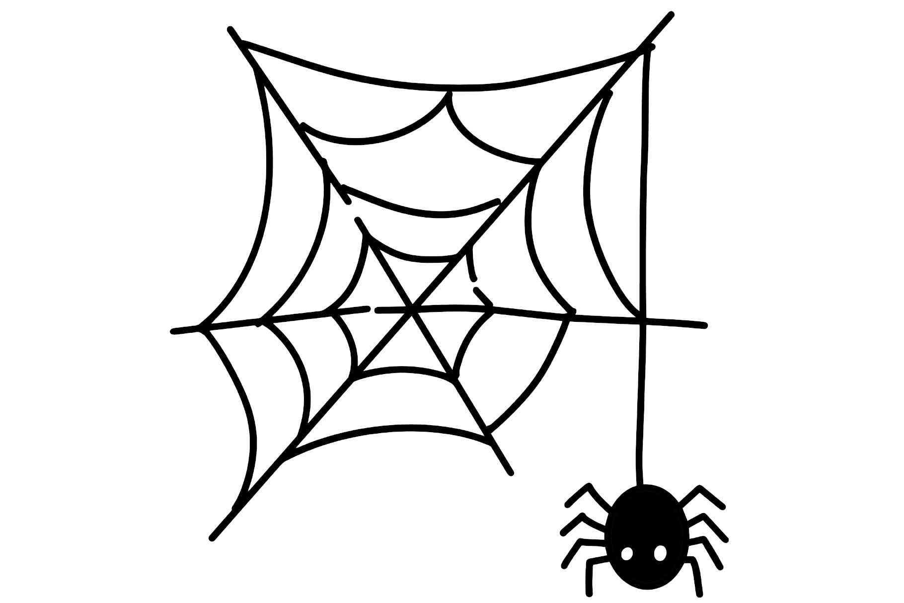 The Spider's Web