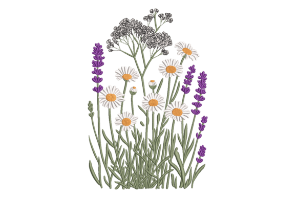 Wildflower Meadow Daisy Lavender