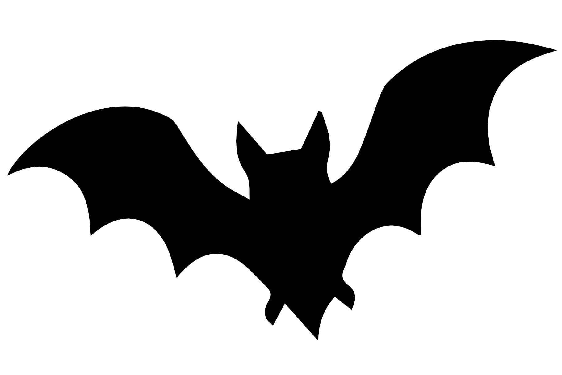 Minimalist Black Bat
