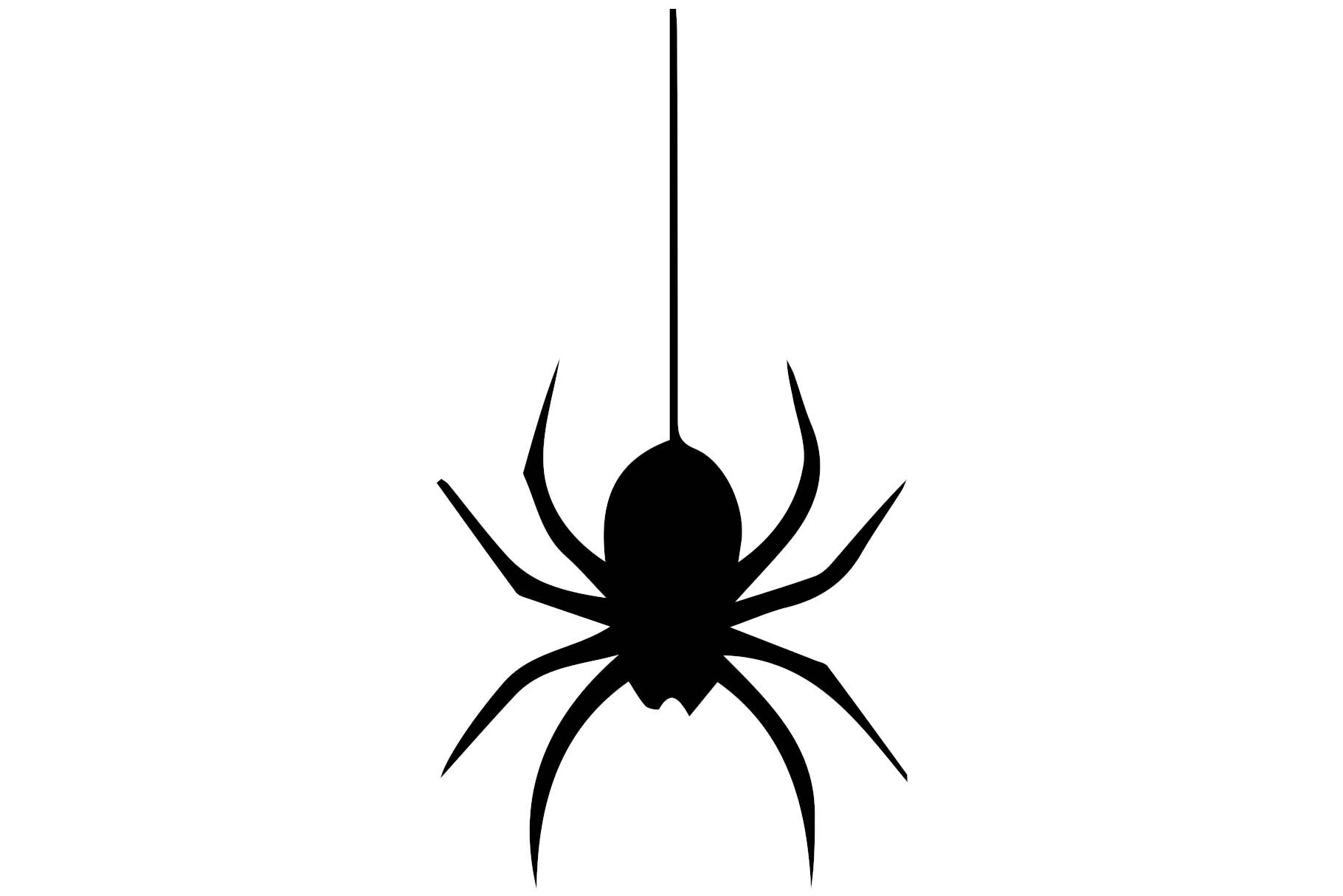 Spooky Spider Web Drop
