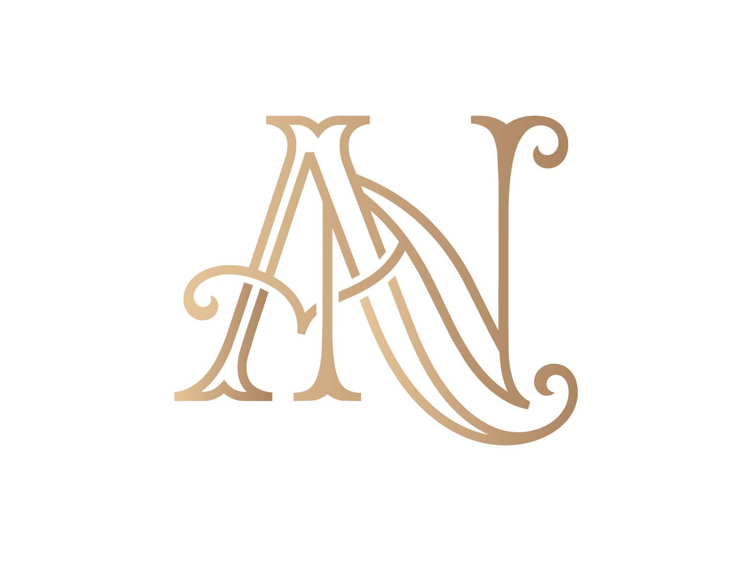 An Elegant Intertwined Monogram Logo