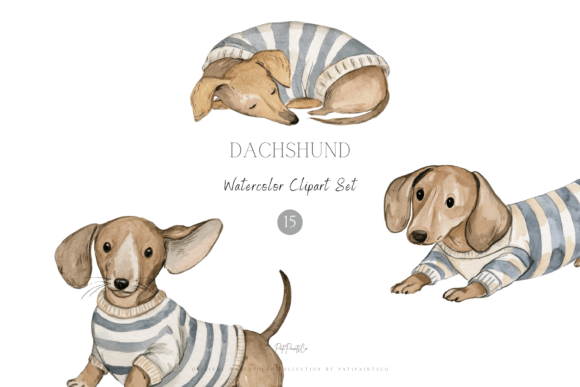 Dachshund Watercolor Clipart Set Gráfico Ilustraciones Imprimibles Por patipaintsco