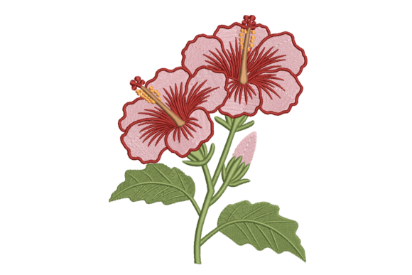 Hibiscus Floral