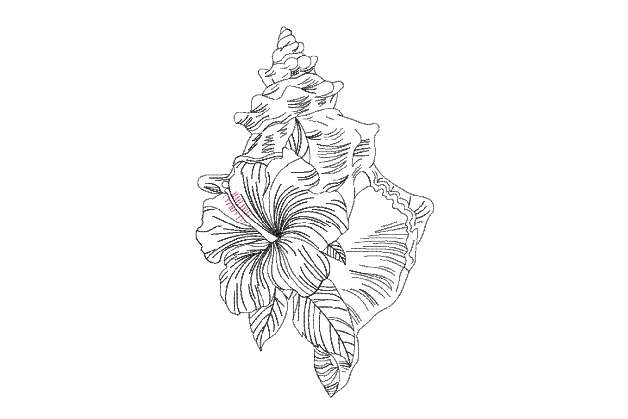 Seashell Hibiscus Floral Line Art
