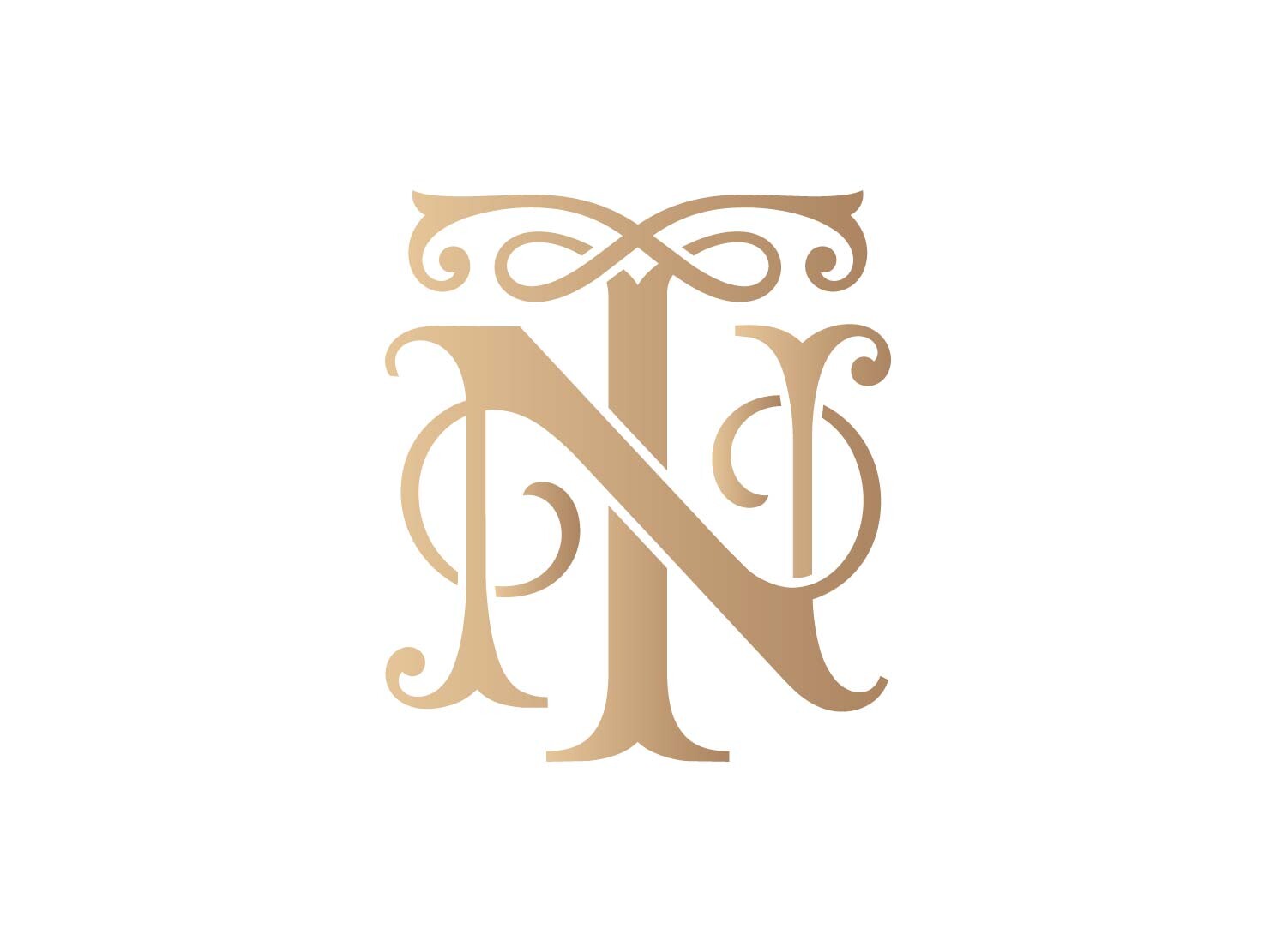TN Elegant Monogram Logo SVG
