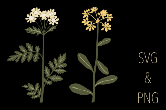 Botanical Motifs (1/6)