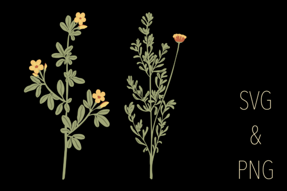 Botanical Motifs (2/6)