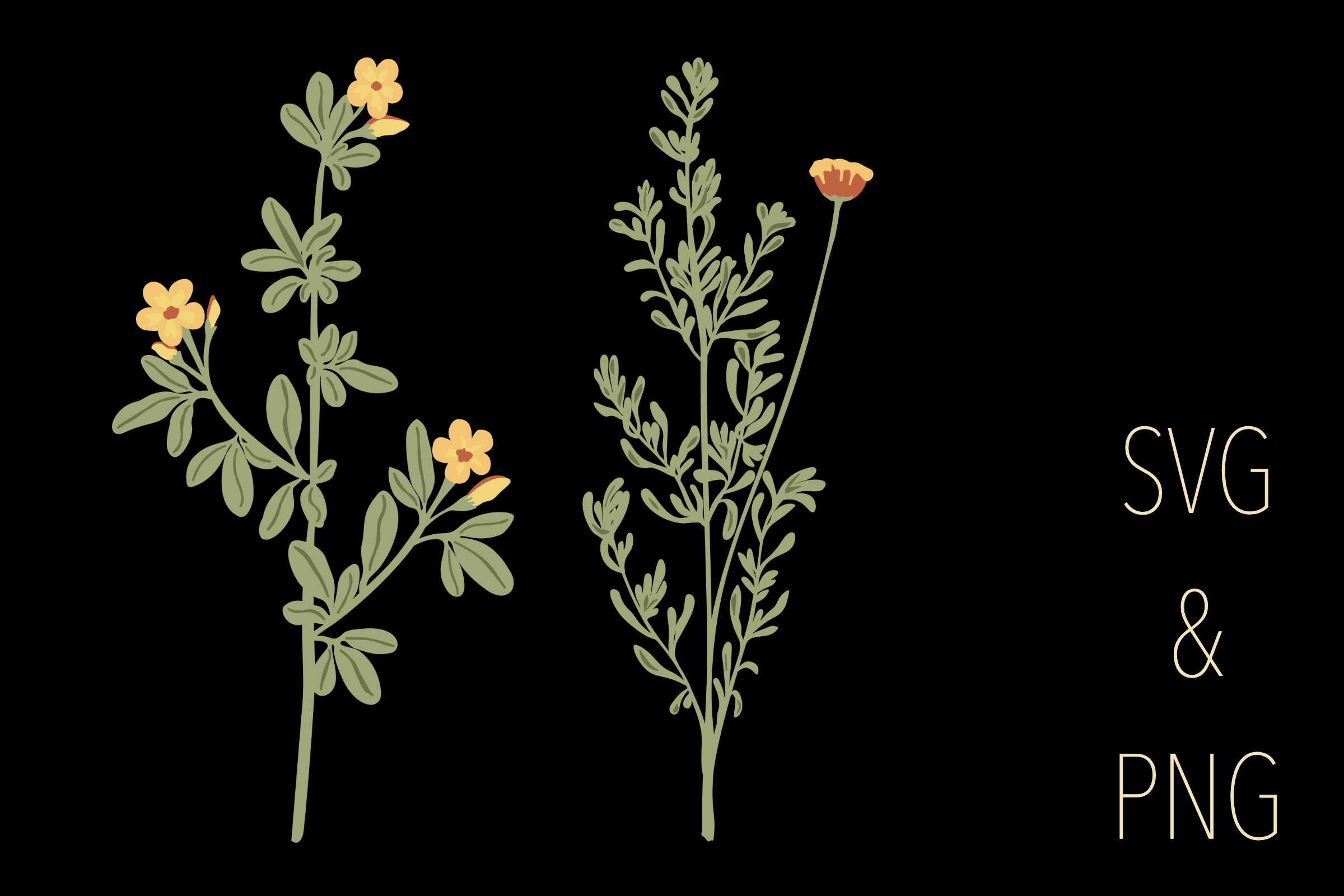 Botanical Motifs (2/6)