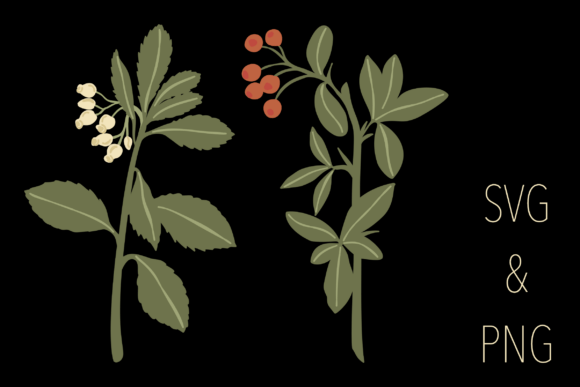 Botanical Motifs (3/6)