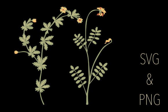 Botanical Motifs (4/6)
