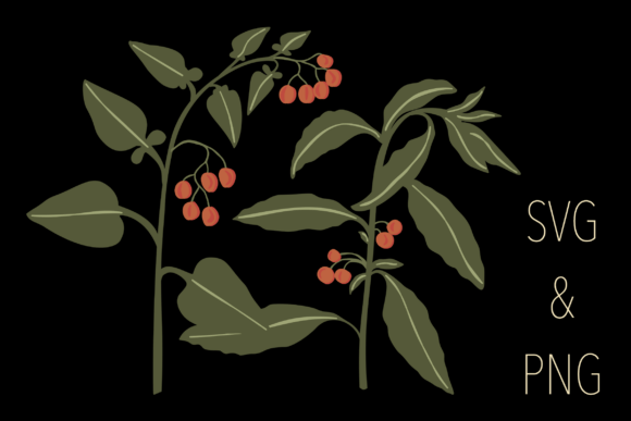 Botanical Motifs (5/6)