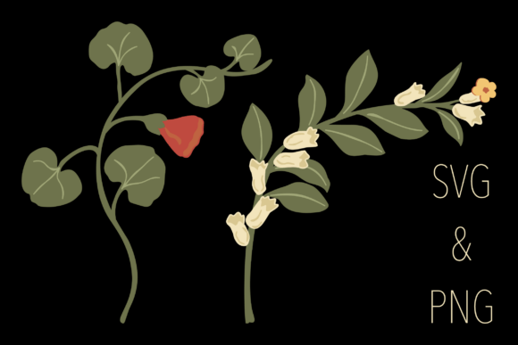 Botanical Motifs (6/6)
