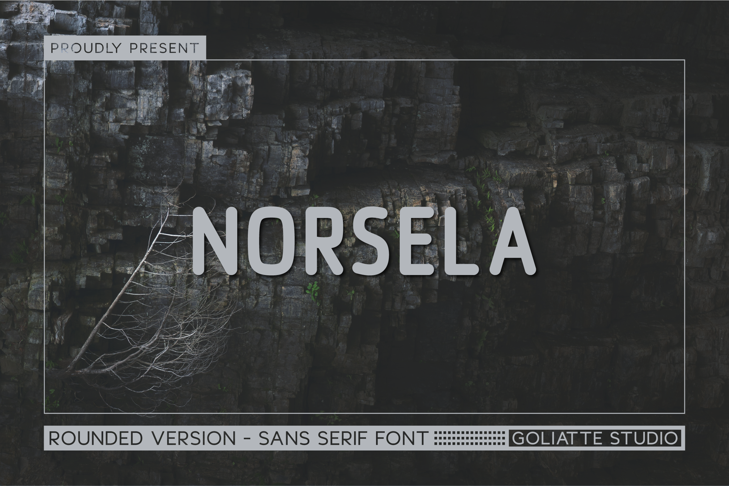 Norsela preview, modern sans-serif font for label text