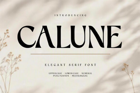 Elegant Aesthetic Fonts for Modern Creatives