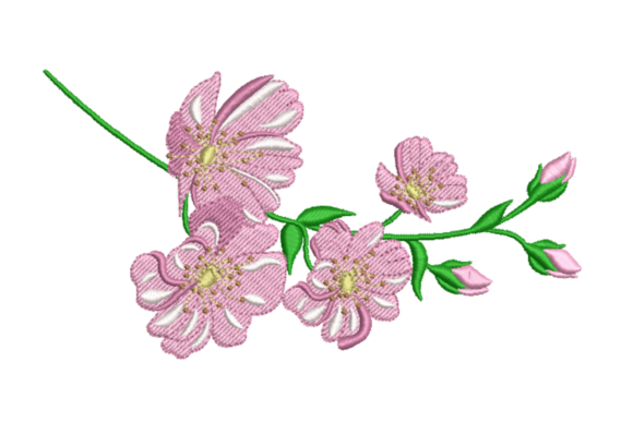 Cherry Blossom Branch