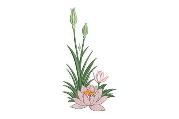 Lotus Flower Garden