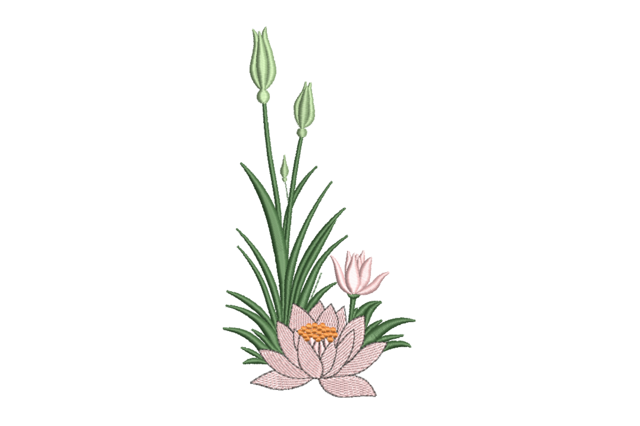 Lotus Flower Garden