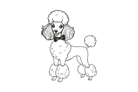 Poodle Dog