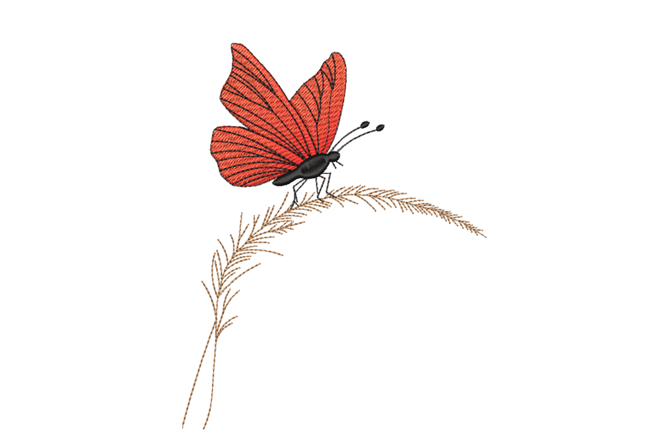 Red Butterfly on Grass