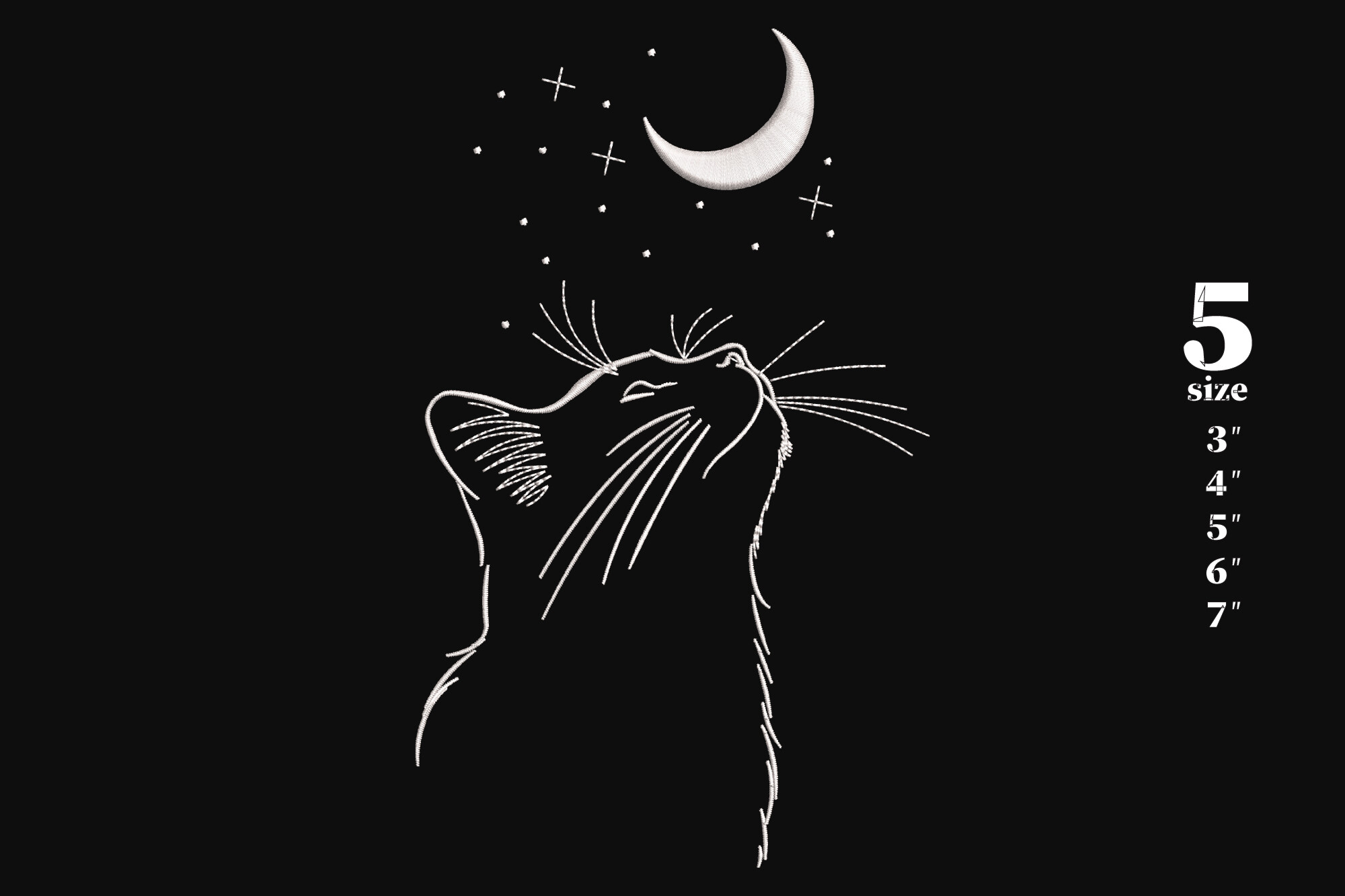 Cat the Moon