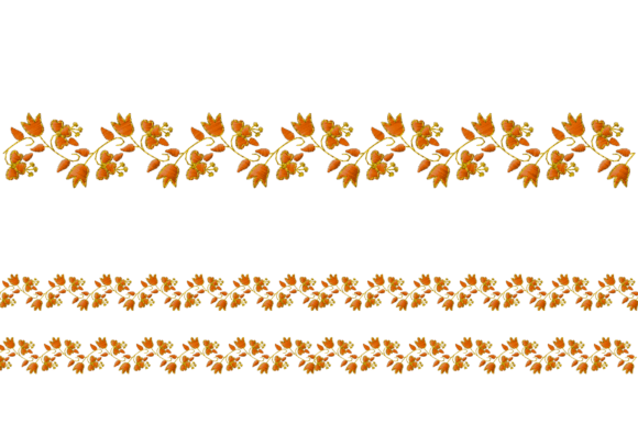Embroidered Floral Border Trim Ribbon