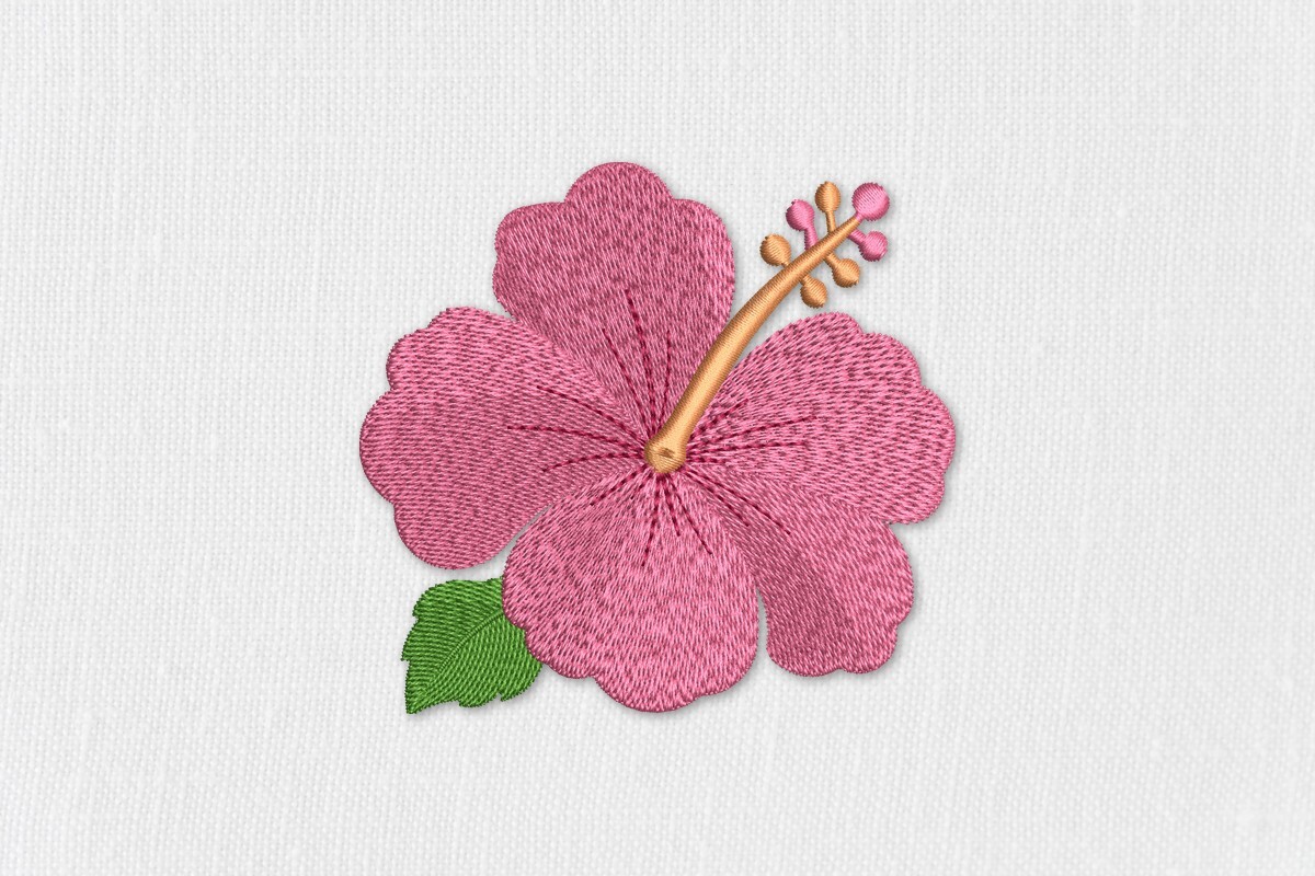 Tropical Hibiscus Flower Single Bloom