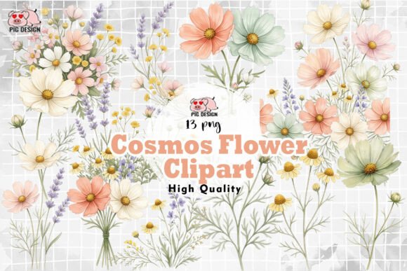 Watercolor Cosmos Flower Clipart PNG Graphic Illustrations By PIG.design