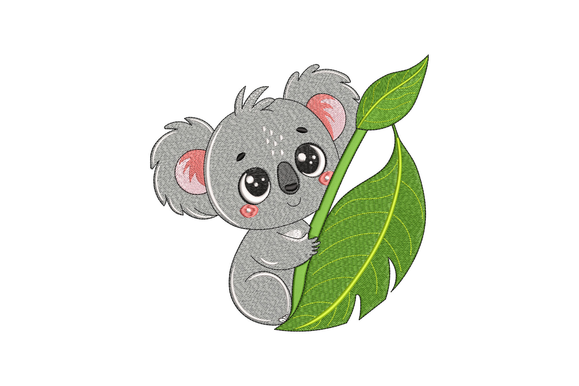 Cute Koala