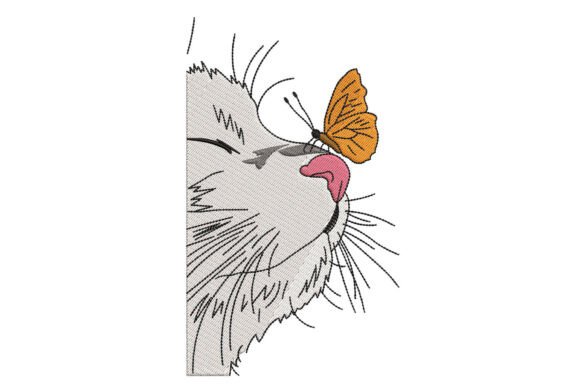 Cat & Butterfly