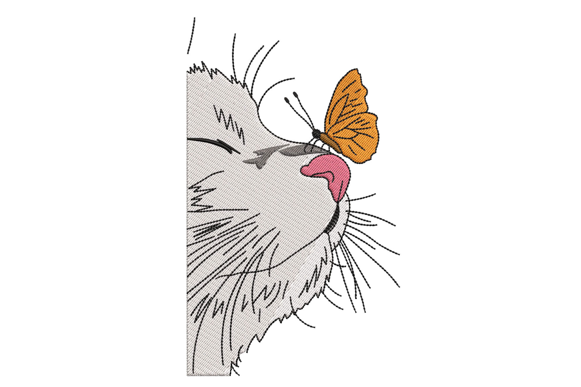 Cat & Butterfly
