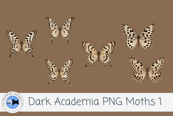 Dark Academia Vintage PNG Moths 1