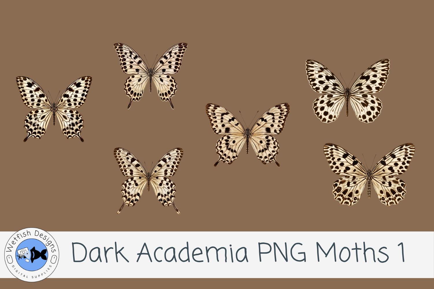 Dark Academia Vintage PNG Moths 1
