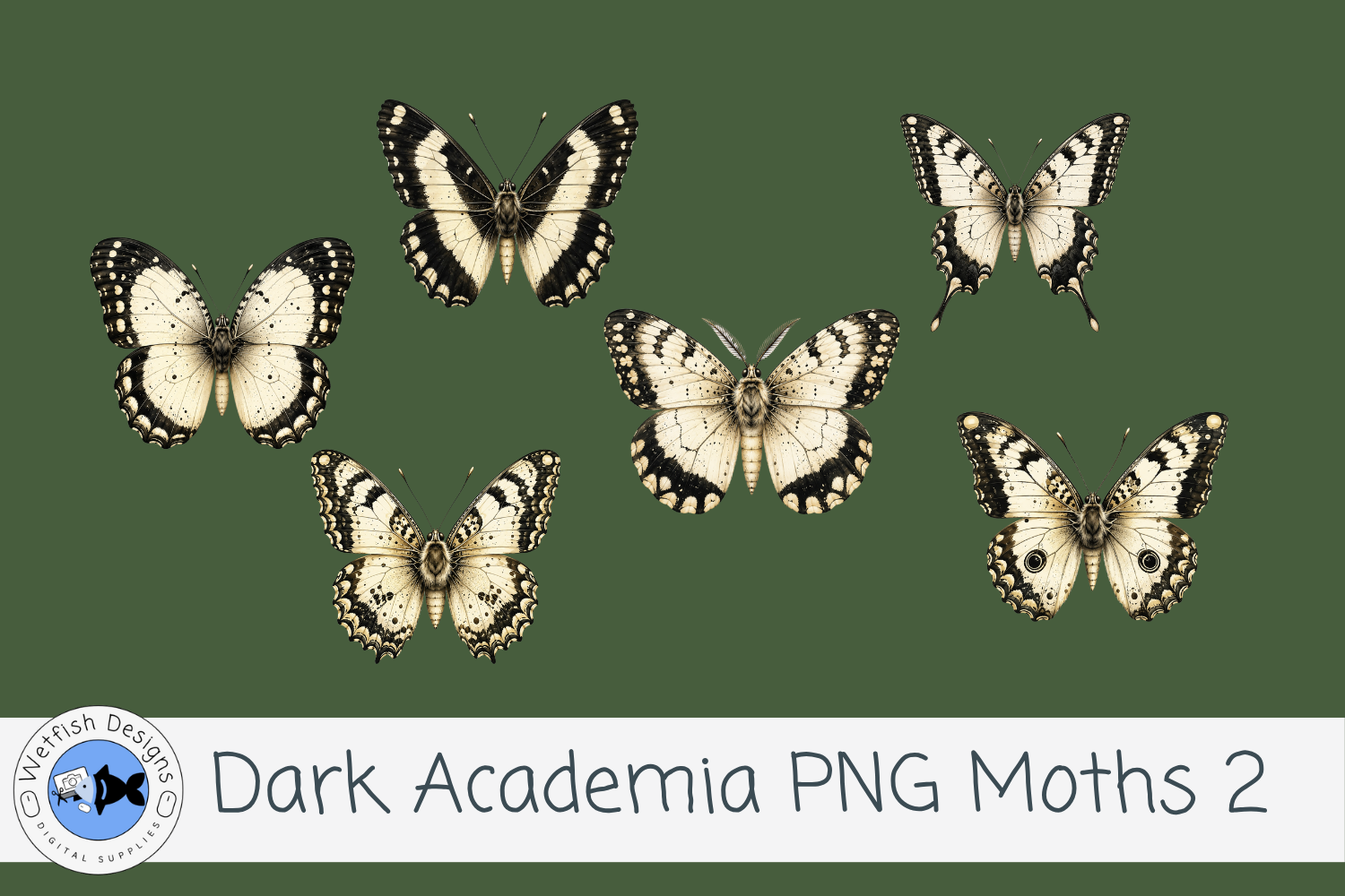 Dark Academia Vintage PNG Moths 2