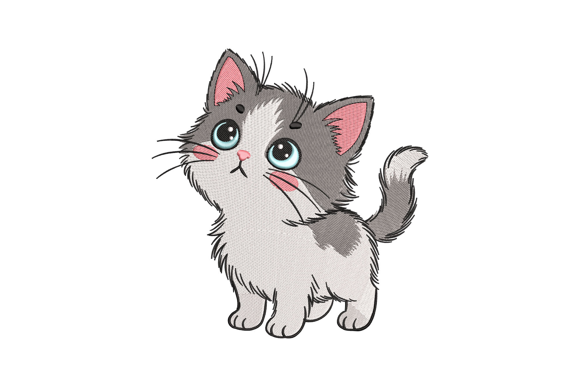 Funny Cat