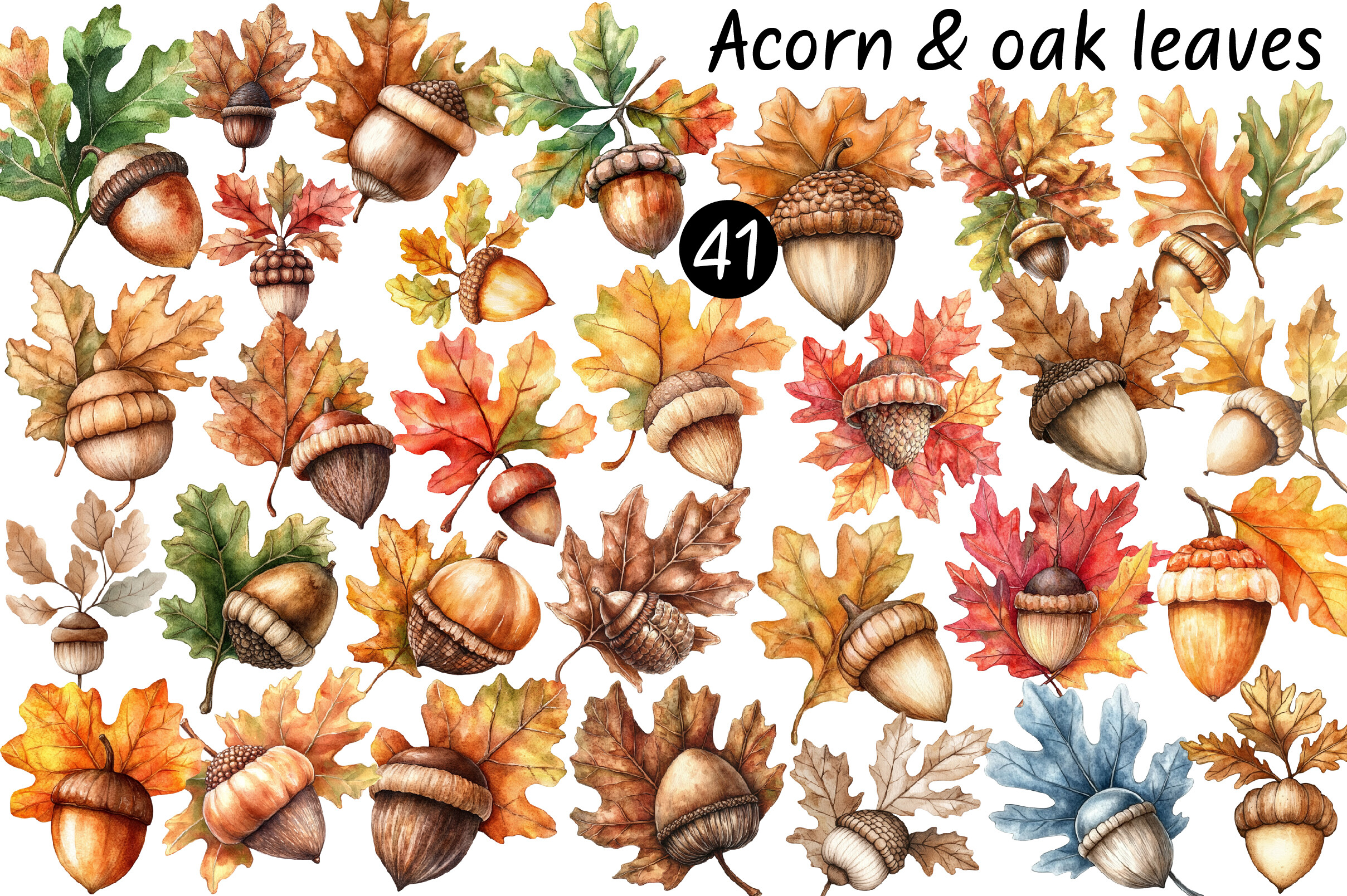 Acorn & Oak Leaves Clipart
